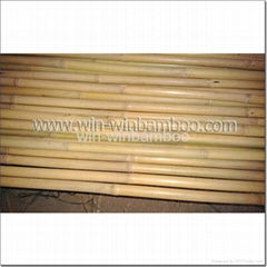 bamboo canes for farming supports garden trees supports decorations