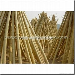 Decorative or constructive supports Mao bamboo poles