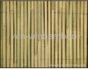 garden bamboo fences of wire lines woven outside canes 2