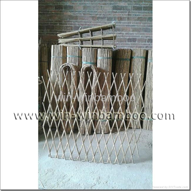 Expandable bamboo trellis fencing 2