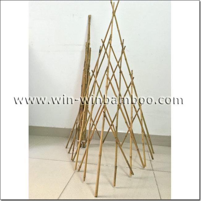 Expandable bamboo trellis fencing 3