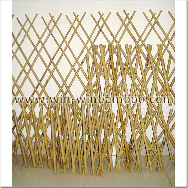 Expandable bamboo trellis fencing