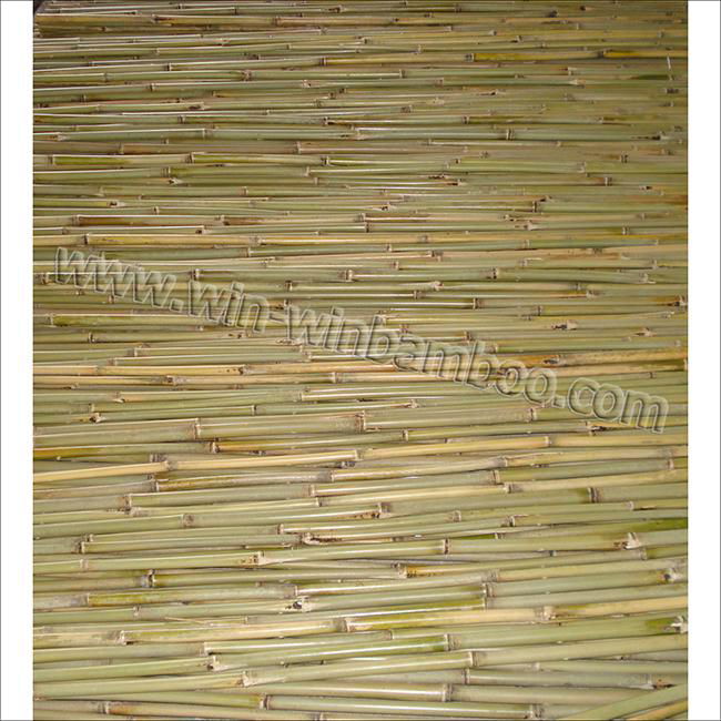 Bamboo fence - wire lines woven inside through the canes 4