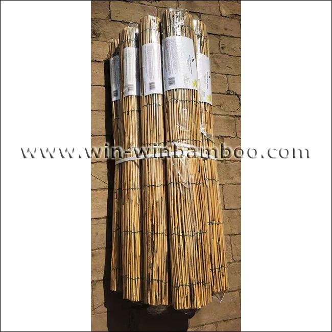 Garden reed fence reed mats 2
