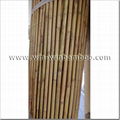 Garden white fern fencing for decoration or garden nursery wall