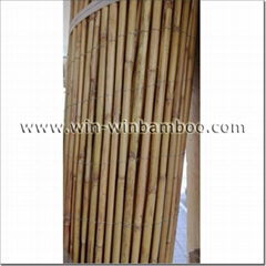 Garden white fern fencing for decoration