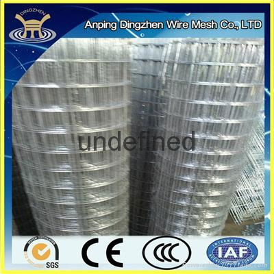 Galvanized welded wire mesh roll 4