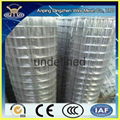 Galvanized welded wire mesh roll 4