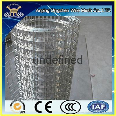 Galvanized welded wire mesh roll 3