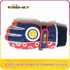 Wholesale thinsulate ski and snowboard gloves 