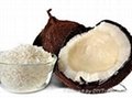 Descicated coconut Medium grade