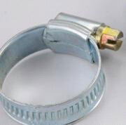 Brithishi hose clamp