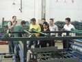 mgo board production line