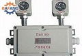  explosion-proof double-headed emergency light 1