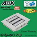 Reliable and High Efficiency Power Supply LED Surface Mounted Luminaires 1