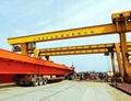 Mine gantry crane