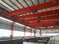 Single beam crane