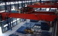 Overhead crane with magnet