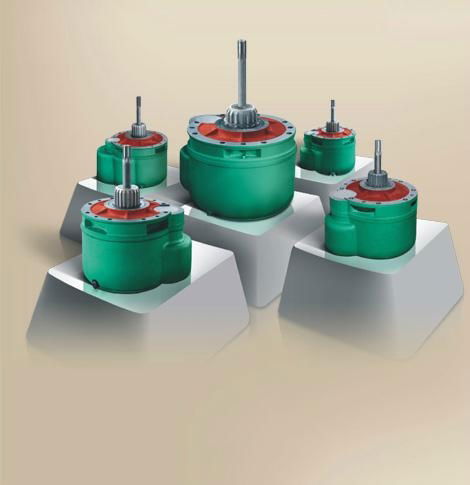 Electric hoist reducer