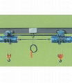 Double lifting point electric hoist