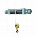 Non-standard electric hoist