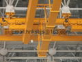 Suspension crane