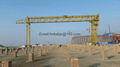 Engineering gantry crane