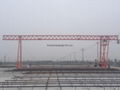 Engineering gantry crane