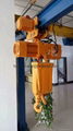 Electric Chain Hoists