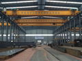 New electric single beam crane-HENAN MINE CRANE CO.,LTD