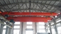 Electric Hoist Crane