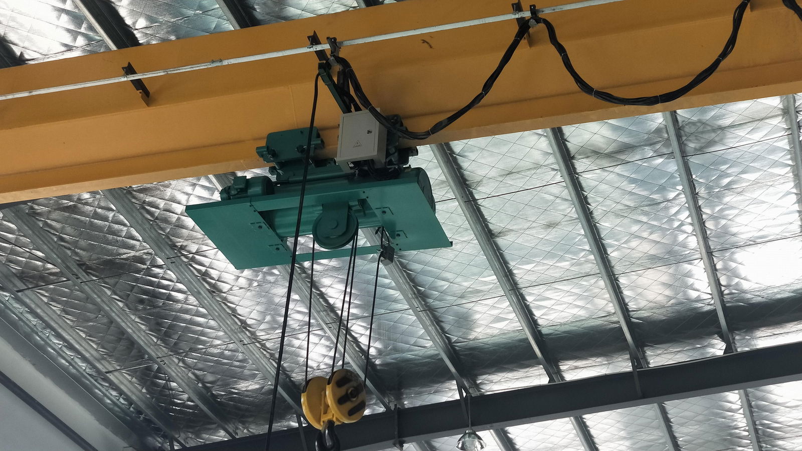 Metallurgical hoist