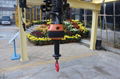 Electric Chain Hoists