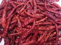dried chillies 2