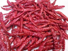 dried chillies