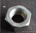 titanium screw