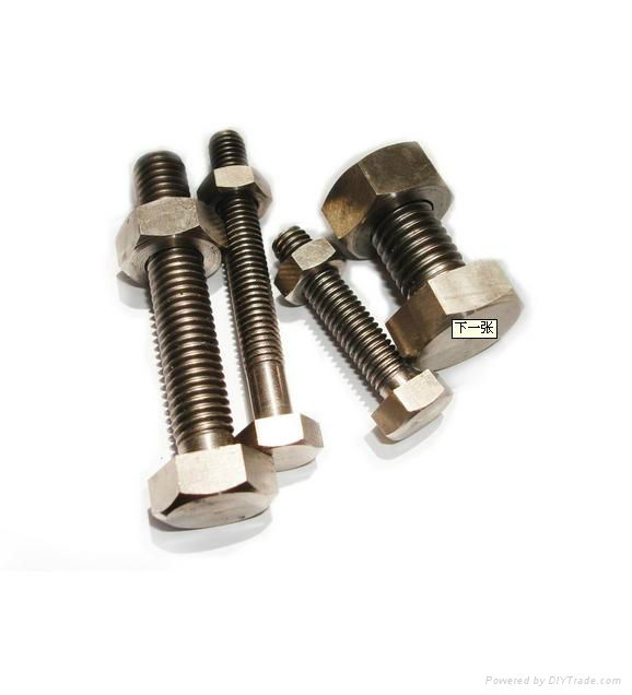 titanium screw 2