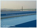 Xingfa PVC Roof Sheet with high Quality 4