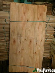 Core Veneer