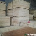 Acacia, Styrax, Eucalyptus plywood