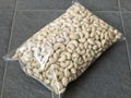 Cashew Nuts 1