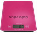 Different color extra thick digital scale