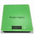 Different color extra thick digital scale 2