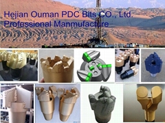 Hejian Ouman PDC Bits Co., Ltd. Hejian Ouman PDC Bits Co., Ltd.