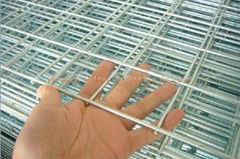 Welded Wire Mesh