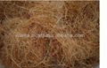 Vietnam Coconut Fibre 1