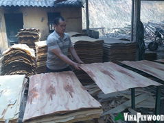 hardwood core plywood /construction plywood from Viet  Nam manuf