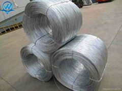 electric galvanized iron wire