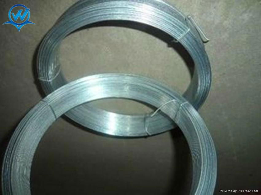 electric galvanized iron wire 2