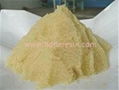 macroporous cation exchange resin